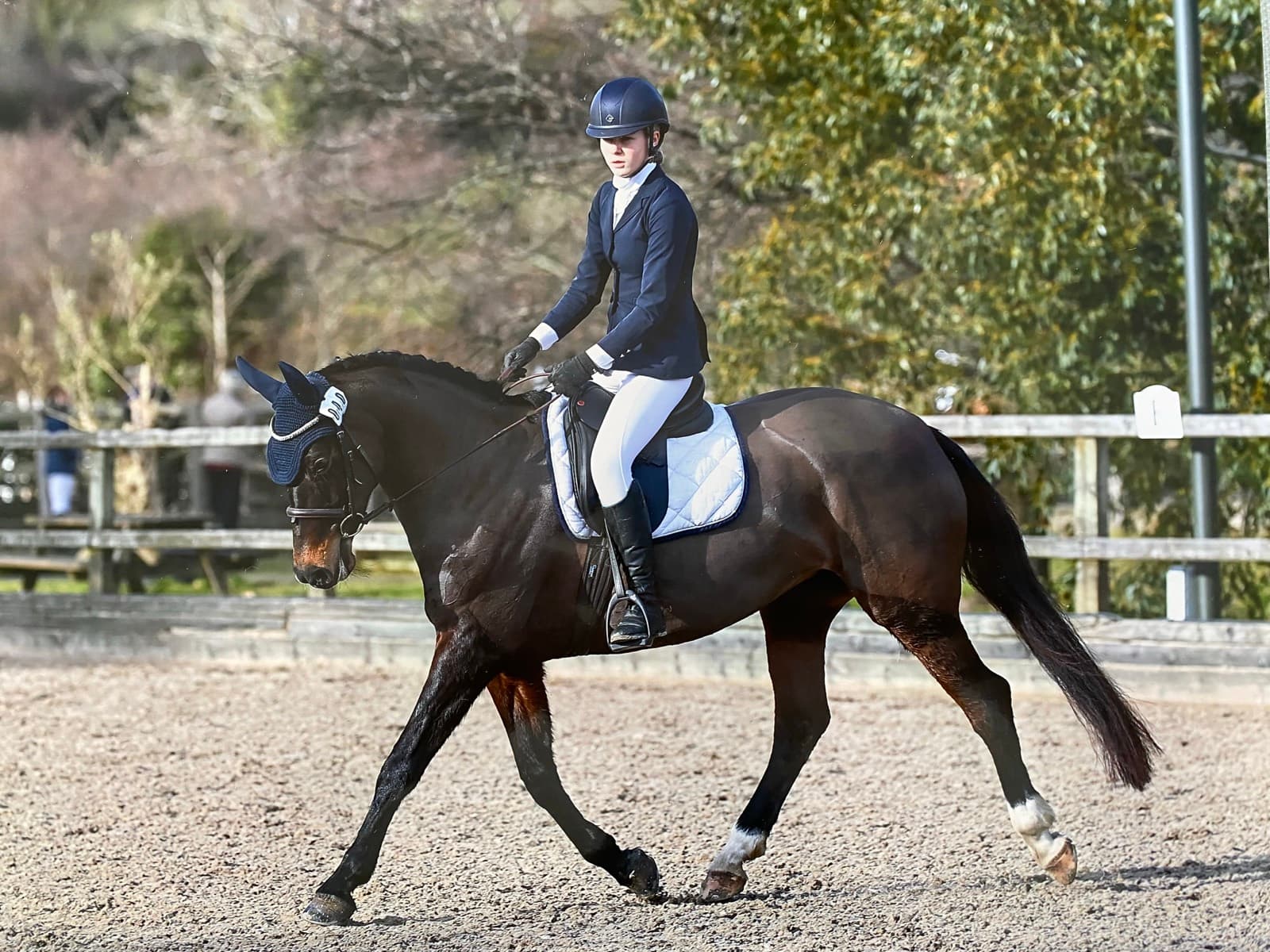 A rider schooling a horse on the flat