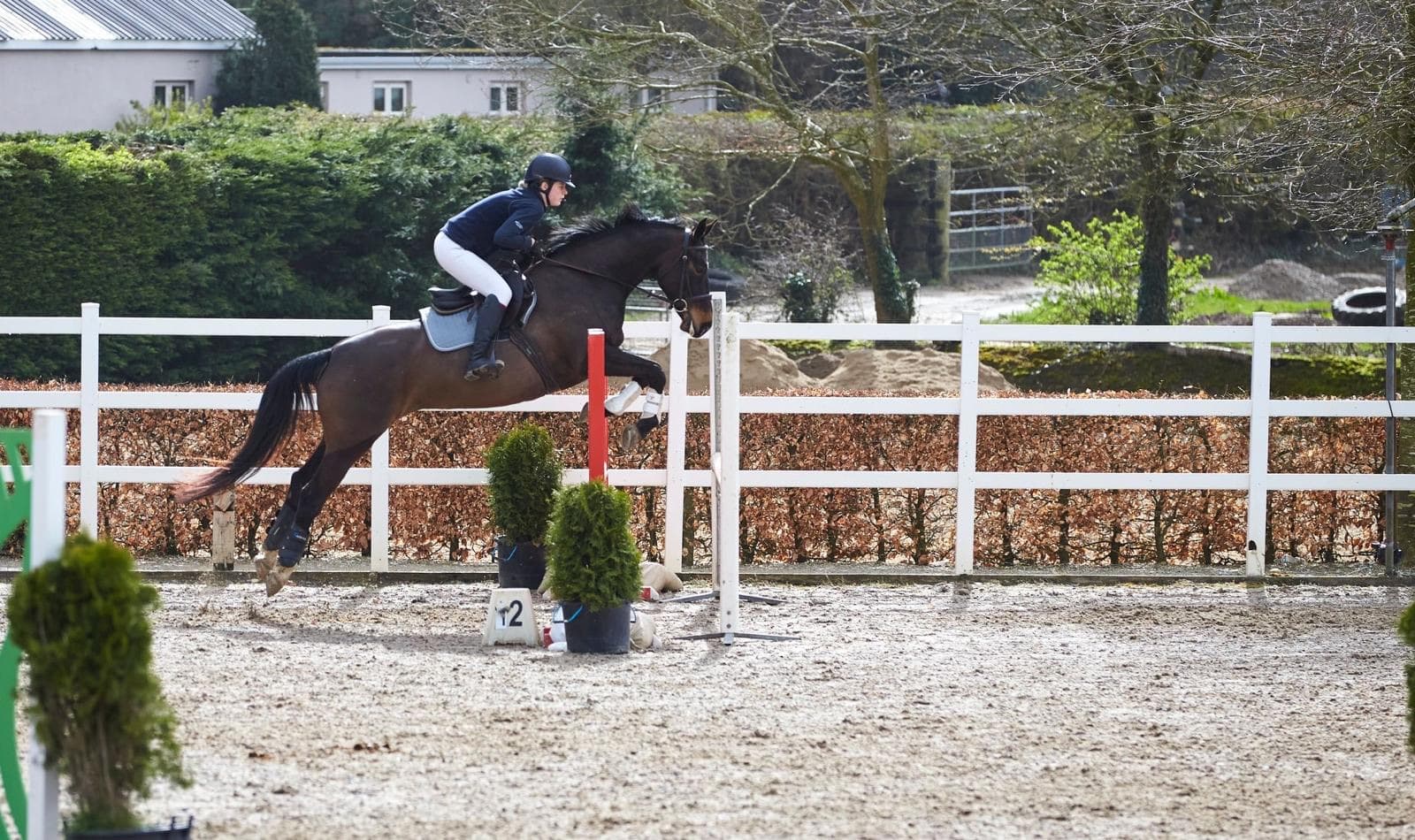 A rider and horse jumping