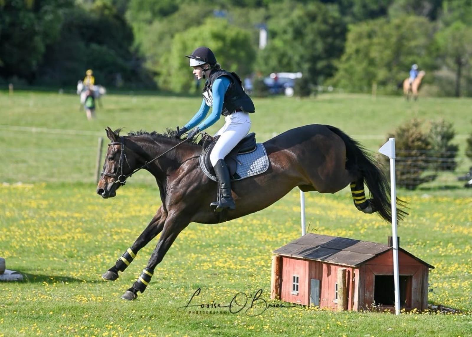 A rider and horse going cross country